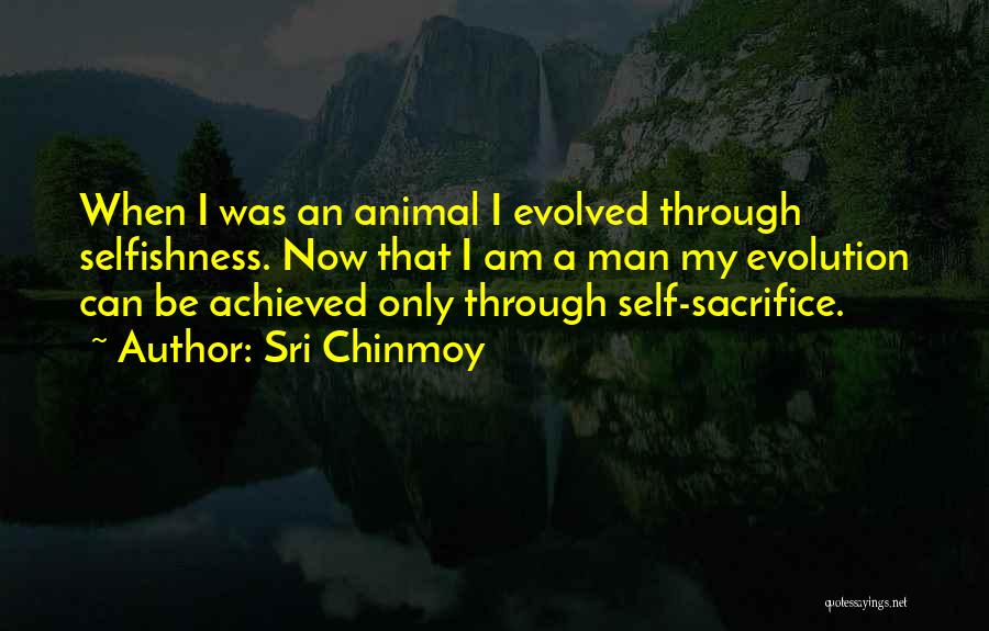 Sri Chinmoy Quotes: When I Was An Animal I Evolved Through Selfishness. Now That I Am A Man My Evolution Can Be Achieved