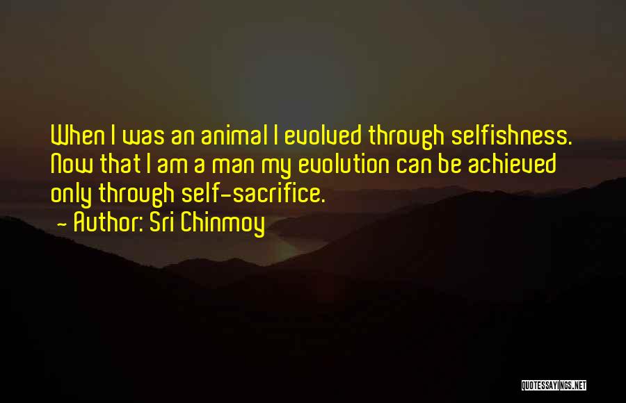 Sri Chinmoy Quotes: When I Was An Animal I Evolved Through Selfishness. Now That I Am A Man My Evolution Can Be Achieved