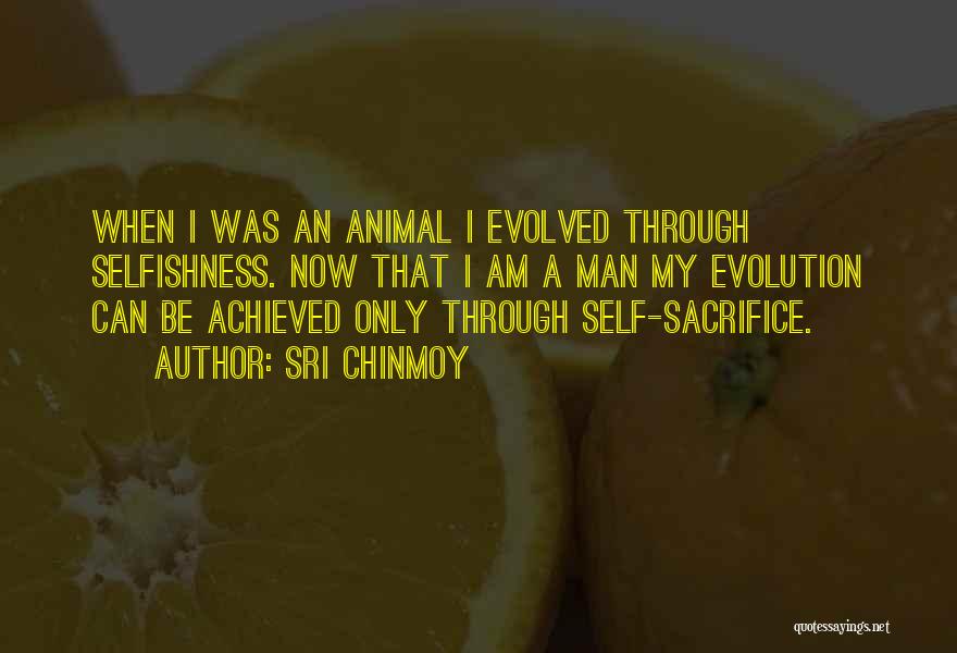 Sri Chinmoy Quotes: When I Was An Animal I Evolved Through Selfishness. Now That I Am A Man My Evolution Can Be Achieved