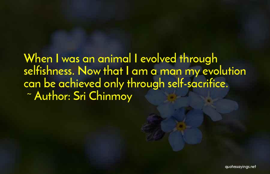 Sri Chinmoy Quotes: When I Was An Animal I Evolved Through Selfishness. Now That I Am A Man My Evolution Can Be Achieved