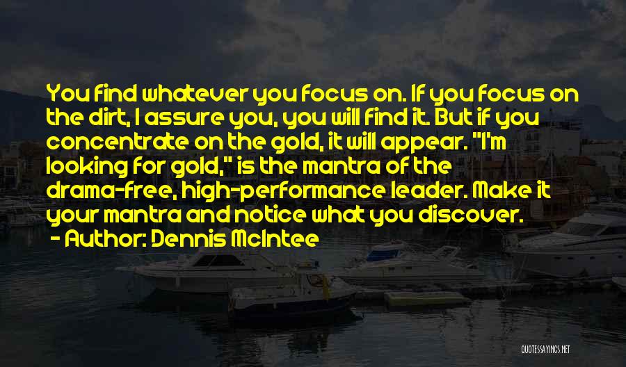 Dennis McIntee Quotes: You Find Whatever You Focus On. If You Focus On The Dirt, I Assure You, You Will Find It. But