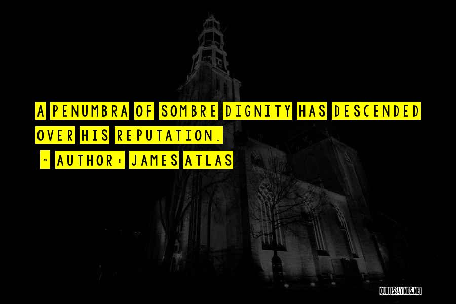 James Atlas Quotes: A Penumbra Of Sombre Dignity Has Descended Over His Reputation.