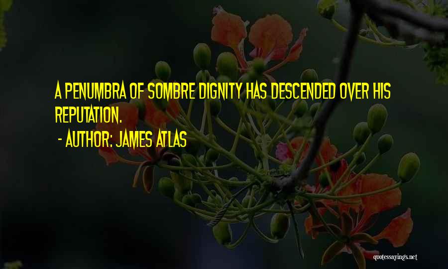 James Atlas Quotes: A Penumbra Of Sombre Dignity Has Descended Over His Reputation.