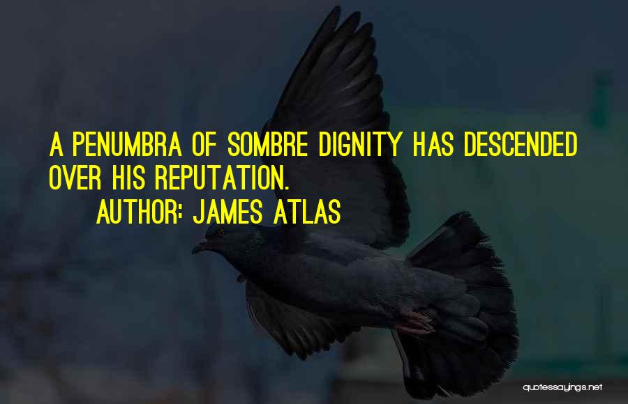 James Atlas Quotes: A Penumbra Of Sombre Dignity Has Descended Over His Reputation.