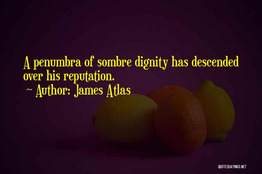 James Atlas Quotes: A Penumbra Of Sombre Dignity Has Descended Over His Reputation.