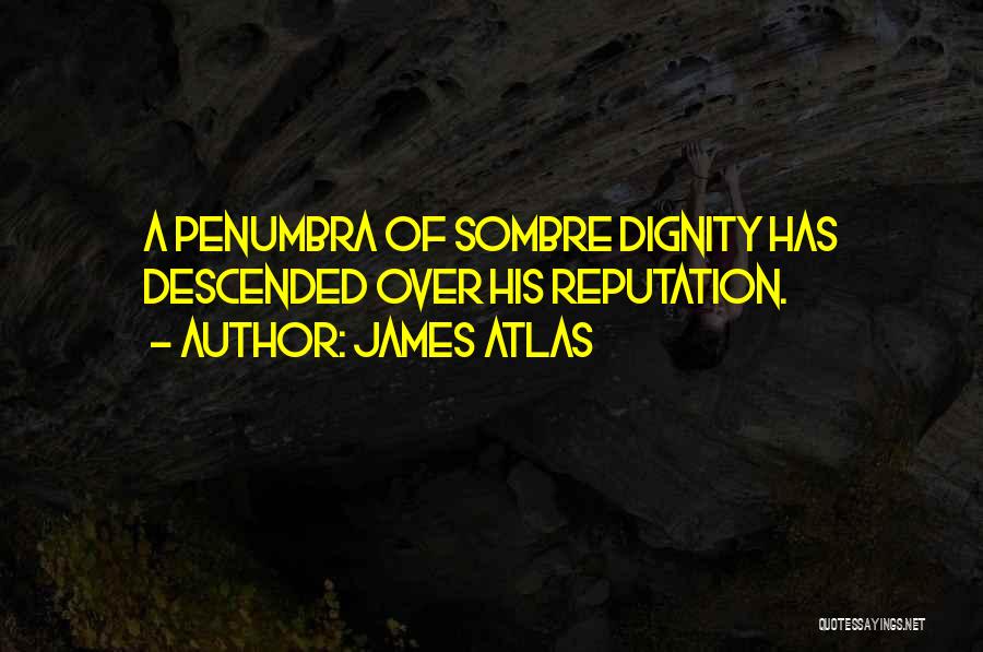 James Atlas Quotes: A Penumbra Of Sombre Dignity Has Descended Over His Reputation.