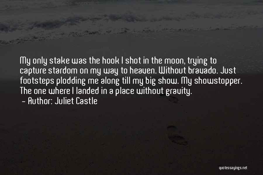 Juliet Castle Quotes: My Only Stake Was The Hook I Shot In The Moon, Trying To Capture Stardom On My Way To Heaven.