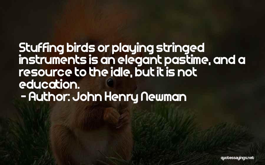 John Henry Newman Quotes: Stuffing Birds Or Playing Stringed Instruments Is An Elegant Pastime, And A Resource To The Idle, But It Is Not