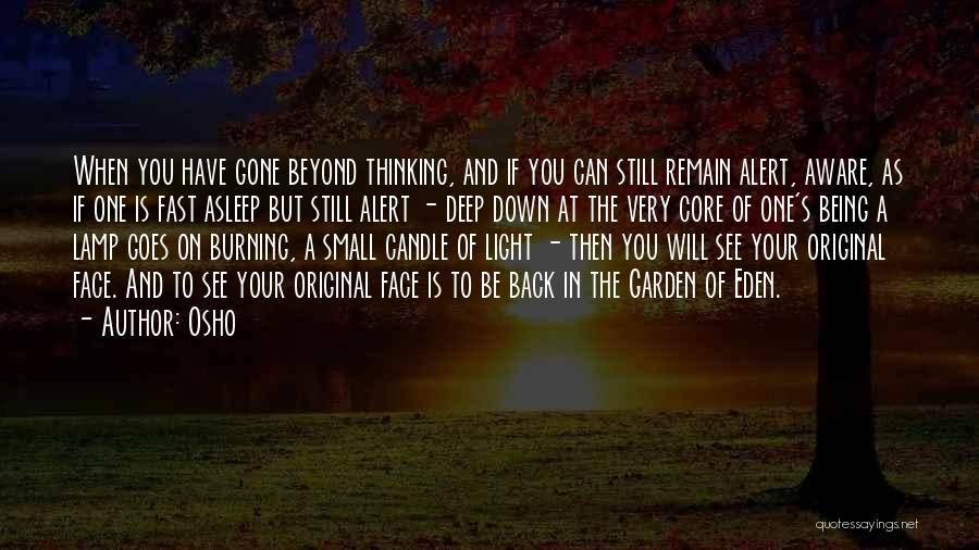 Osho Quotes: When You Have Gone Beyond Thinking, And If You Can Still Remain Alert, Aware, As If One Is Fast Asleep