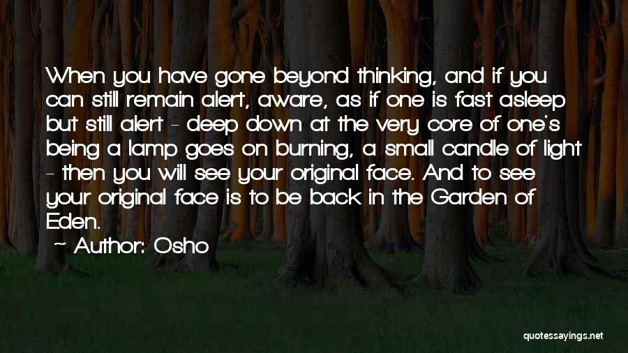 Osho Quotes: When You Have Gone Beyond Thinking, And If You Can Still Remain Alert, Aware, As If One Is Fast Asleep