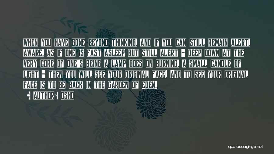 Osho Quotes: When You Have Gone Beyond Thinking, And If You Can Still Remain Alert, Aware, As If One Is Fast Asleep