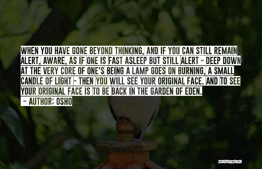 Osho Quotes: When You Have Gone Beyond Thinking, And If You Can Still Remain Alert, Aware, As If One Is Fast Asleep