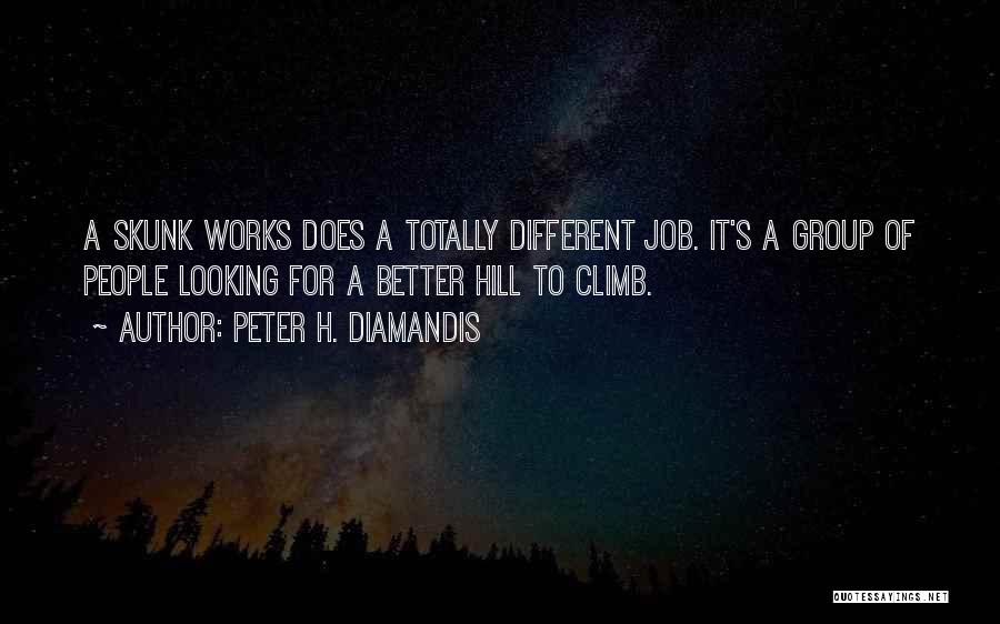 Peter H. Diamandis Quotes: A Skunk Works Does A Totally Different Job. It's A Group Of People Looking For A Better Hill To Climb.