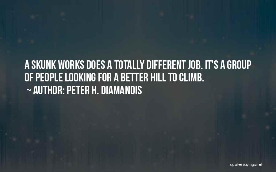 Peter H. Diamandis Quotes: A Skunk Works Does A Totally Different Job. It's A Group Of People Looking For A Better Hill To Climb.