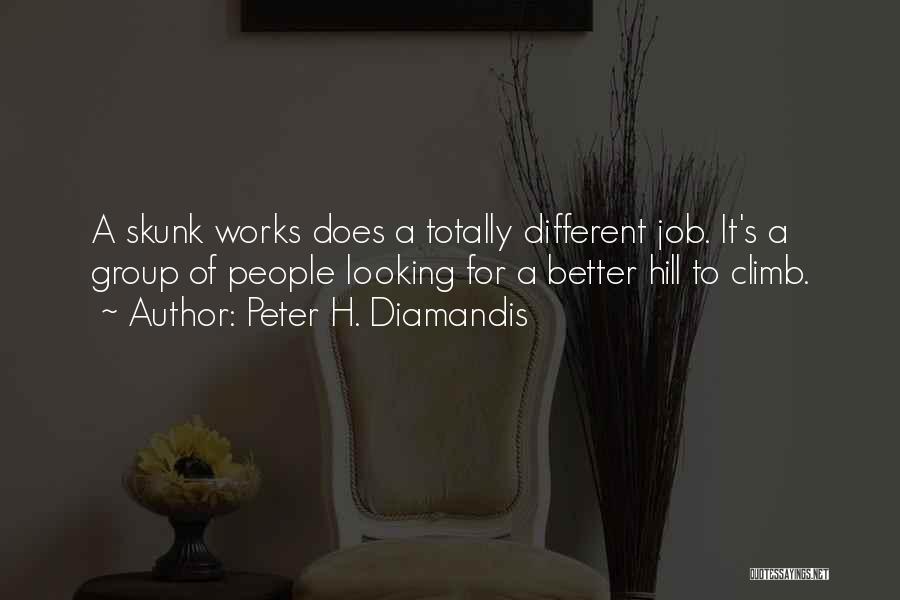 Peter H. Diamandis Quotes: A Skunk Works Does A Totally Different Job. It's A Group Of People Looking For A Better Hill To Climb.