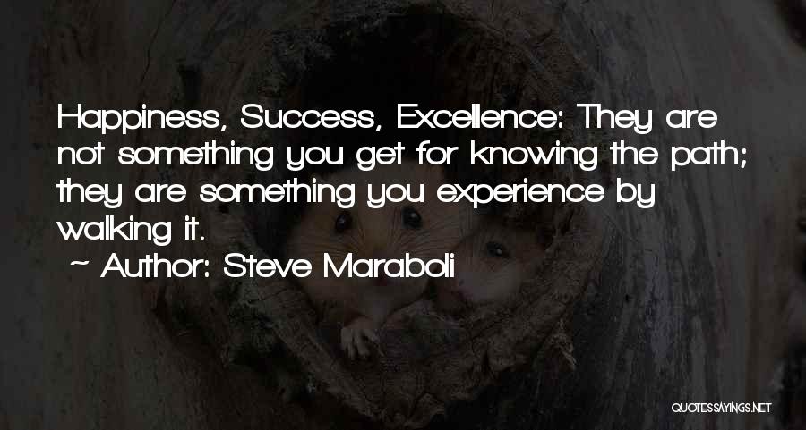 Steve Maraboli Quotes: Happiness, Success, Excellence: They Are Not Something You Get For Knowing The Path; They Are Something You Experience By Walking