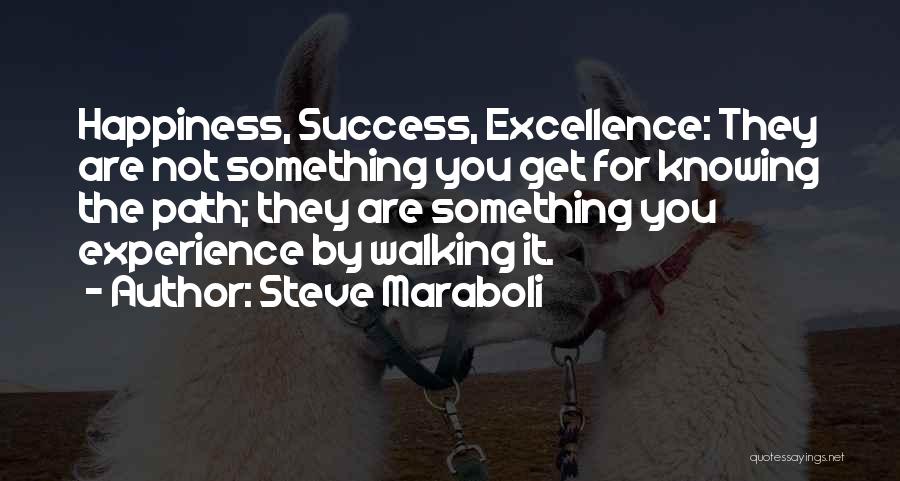 Steve Maraboli Quotes: Happiness, Success, Excellence: They Are Not Something You Get For Knowing The Path; They Are Something You Experience By Walking