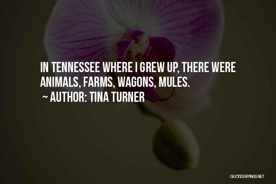 Tina Turner Quotes: In Tennessee Where I Grew Up, There Were Animals, Farms, Wagons, Mules.