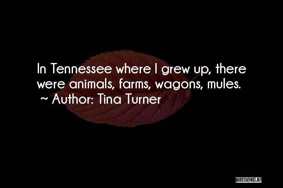 Tina Turner Quotes: In Tennessee Where I Grew Up, There Were Animals, Farms, Wagons, Mules.