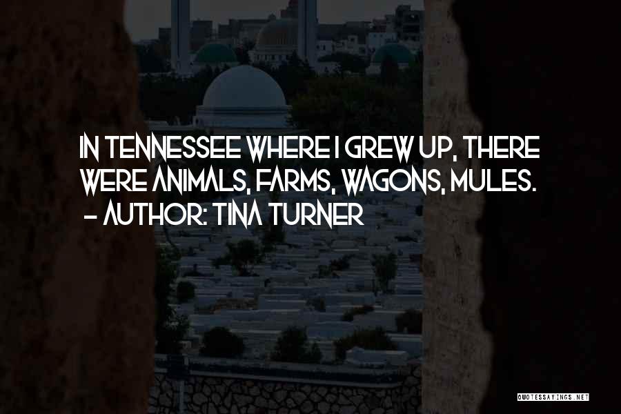 Tina Turner Quotes: In Tennessee Where I Grew Up, There Were Animals, Farms, Wagons, Mules.