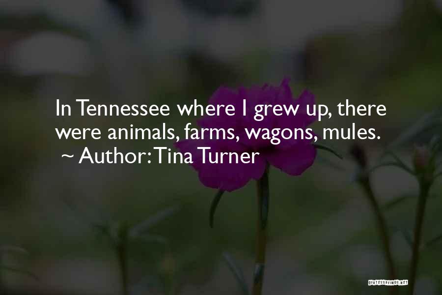 Tina Turner Quotes: In Tennessee Where I Grew Up, There Were Animals, Farms, Wagons, Mules.