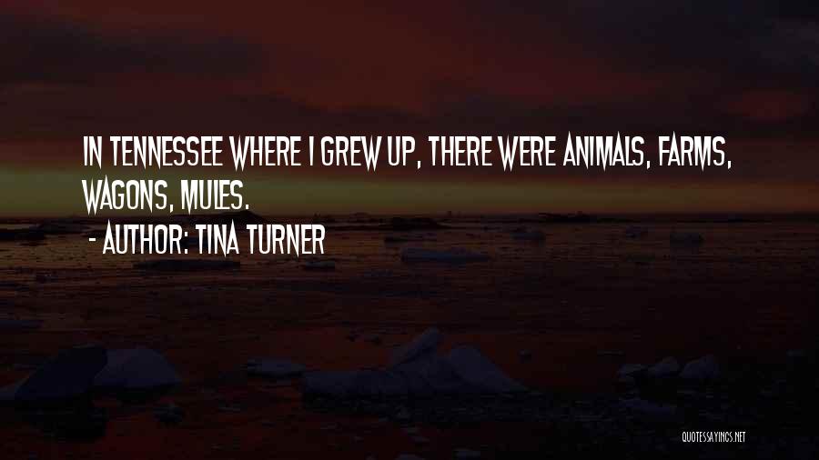Tina Turner Quotes: In Tennessee Where I Grew Up, There Were Animals, Farms, Wagons, Mules.