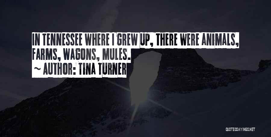 Tina Turner Quotes: In Tennessee Where I Grew Up, There Were Animals, Farms, Wagons, Mules.