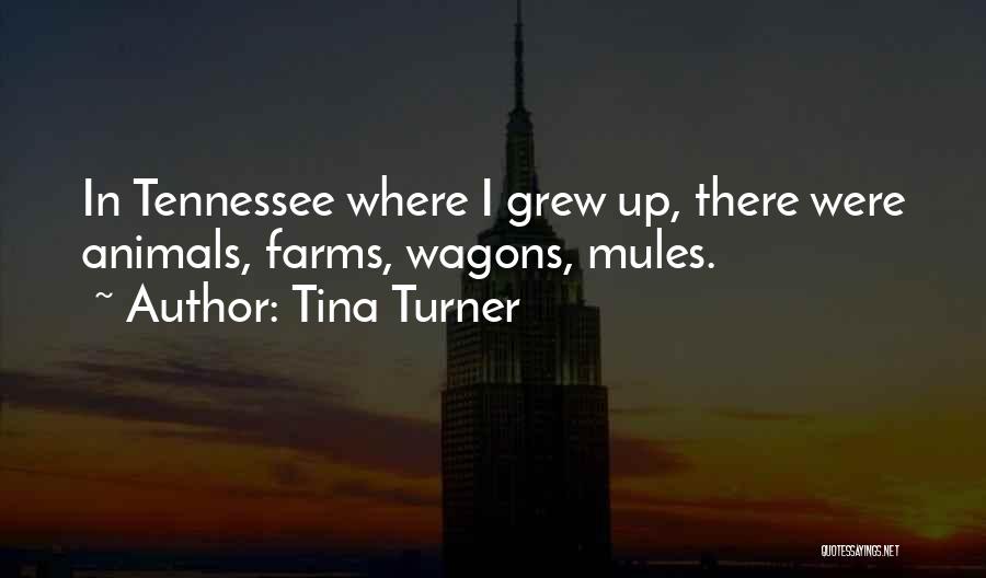 Tina Turner Quotes: In Tennessee Where I Grew Up, There Were Animals, Farms, Wagons, Mules.