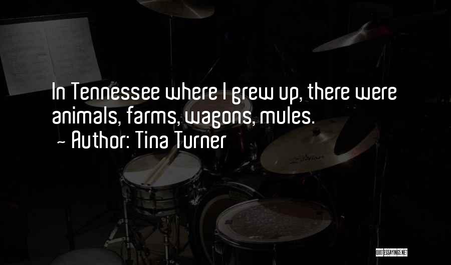 Tina Turner Quotes: In Tennessee Where I Grew Up, There Were Animals, Farms, Wagons, Mules.