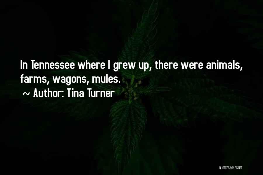 Tina Turner Quotes: In Tennessee Where I Grew Up, There Were Animals, Farms, Wagons, Mules.