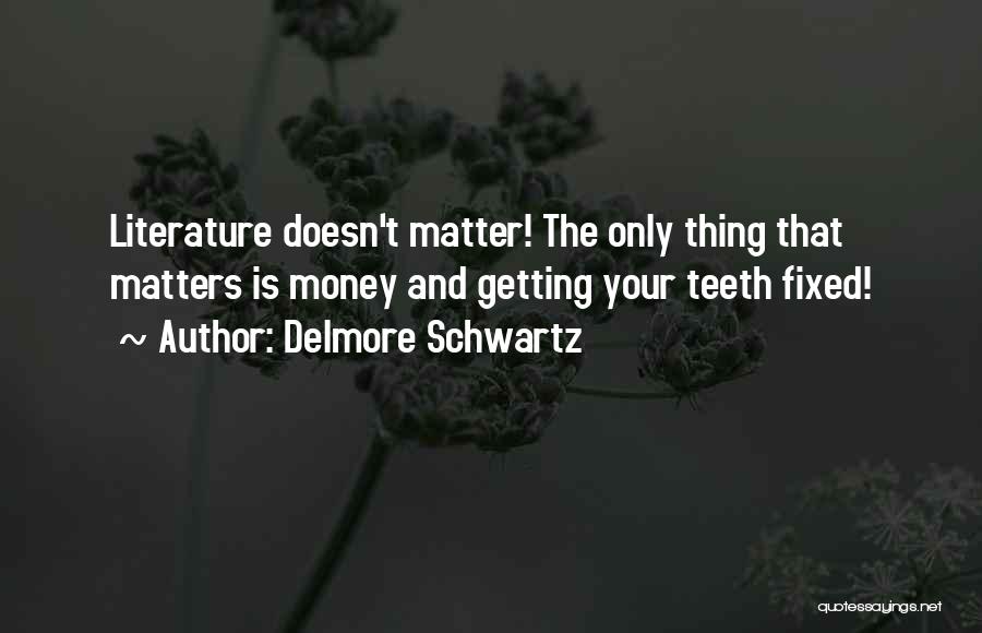 Delmore Schwartz Quotes: Literature Doesn't Matter! The Only Thing That Matters Is Money And Getting Your Teeth Fixed!