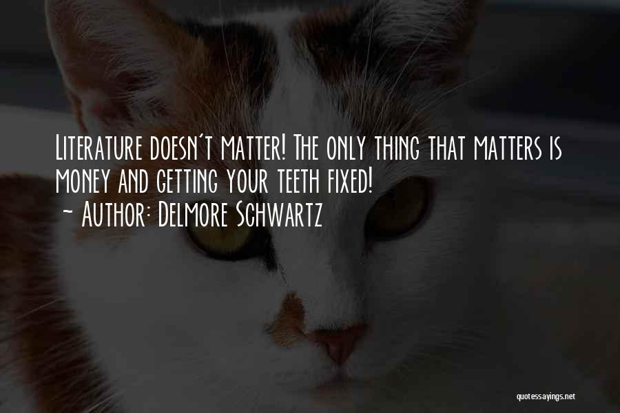 Delmore Schwartz Quotes: Literature Doesn't Matter! The Only Thing That Matters Is Money And Getting Your Teeth Fixed!