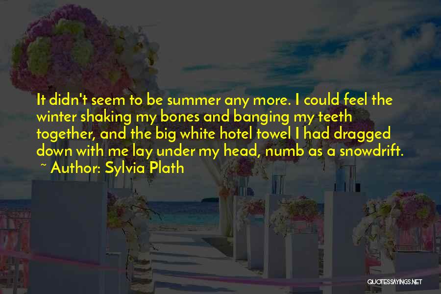 Sylvia Plath Quotes: It Didn't Seem To Be Summer Any More. I Could Feel The Winter Shaking My Bones And Banging My Teeth