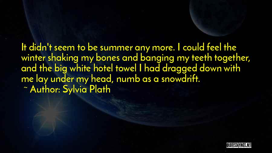 Sylvia Plath Quotes: It Didn't Seem To Be Summer Any More. I Could Feel The Winter Shaking My Bones And Banging My Teeth