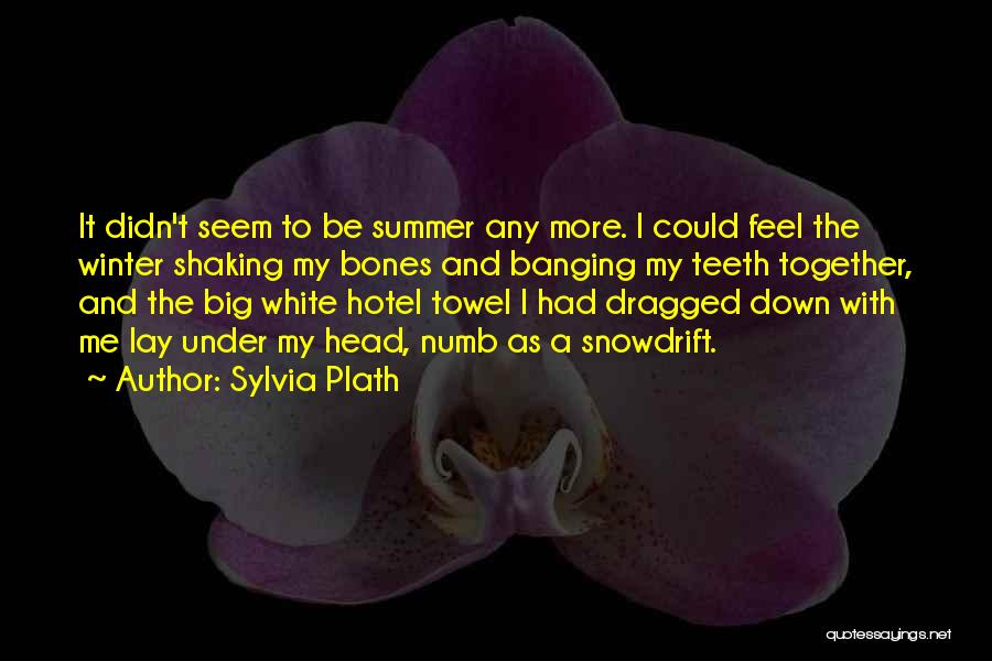 Sylvia Plath Quotes: It Didn't Seem To Be Summer Any More. I Could Feel The Winter Shaking My Bones And Banging My Teeth