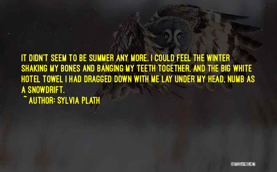 Sylvia Plath Quotes: It Didn't Seem To Be Summer Any More. I Could Feel The Winter Shaking My Bones And Banging My Teeth