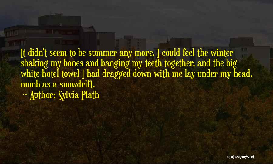 Sylvia Plath Quotes: It Didn't Seem To Be Summer Any More. I Could Feel The Winter Shaking My Bones And Banging My Teeth