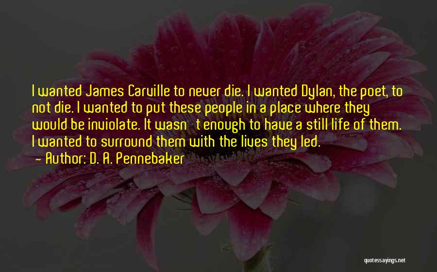 D. A. Pennebaker Quotes: I Wanted James Carville To Never Die. I Wanted Dylan, The Poet, To Not Die. I Wanted To Put These