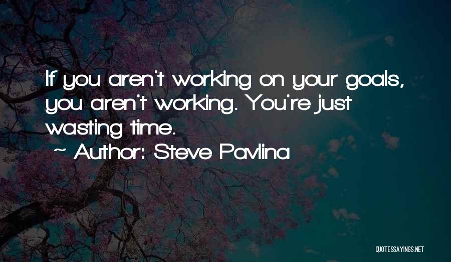 Steve Pavlina Quotes: If You Aren't Working On Your Goals, You Aren't Working. You're Just Wasting Time.