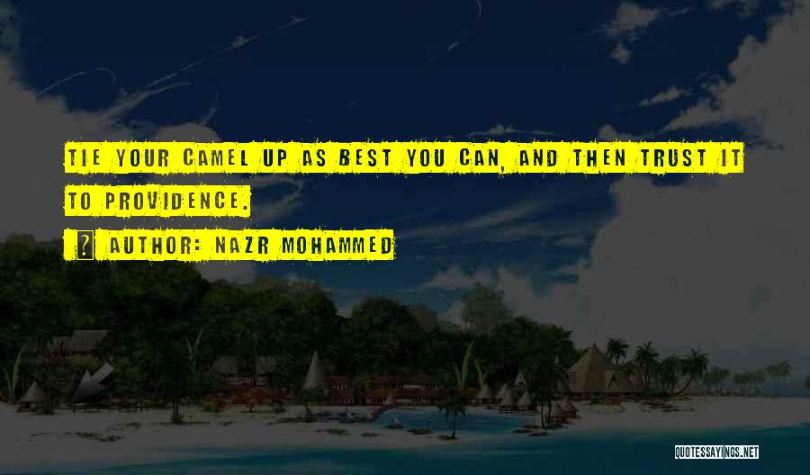 Nazr Mohammed Quotes: Tie Your Camel Up As Best You Can, And Then Trust It To Providence.