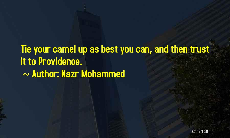 Nazr Mohammed Quotes: Tie Your Camel Up As Best You Can, And Then Trust It To Providence.