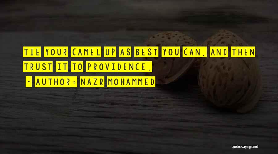 Nazr Mohammed Quotes: Tie Your Camel Up As Best You Can, And Then Trust It To Providence.