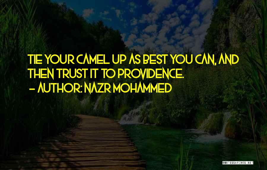 Nazr Mohammed Quotes: Tie Your Camel Up As Best You Can, And Then Trust It To Providence.