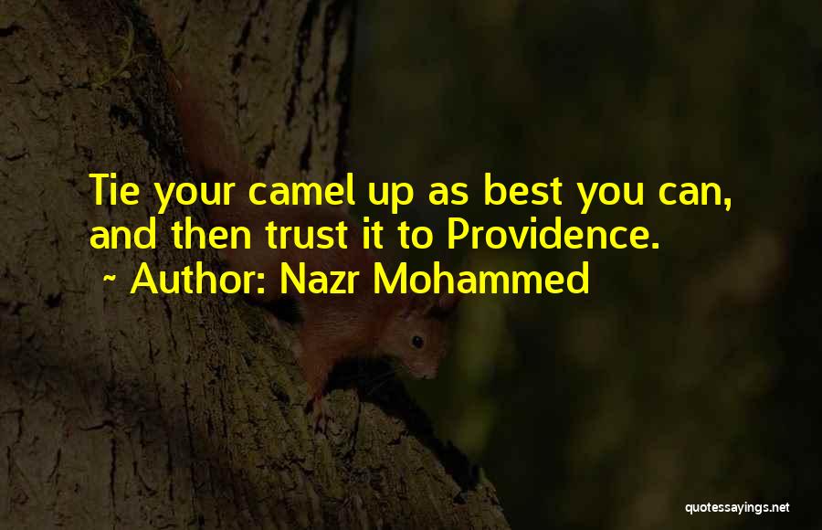 Nazr Mohammed Quotes: Tie Your Camel Up As Best You Can, And Then Trust It To Providence.