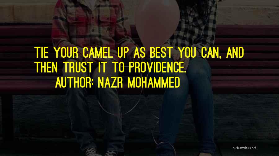 Nazr Mohammed Quotes: Tie Your Camel Up As Best You Can, And Then Trust It To Providence.