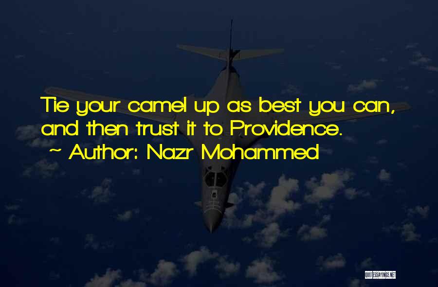 Nazr Mohammed Quotes: Tie Your Camel Up As Best You Can, And Then Trust It To Providence.