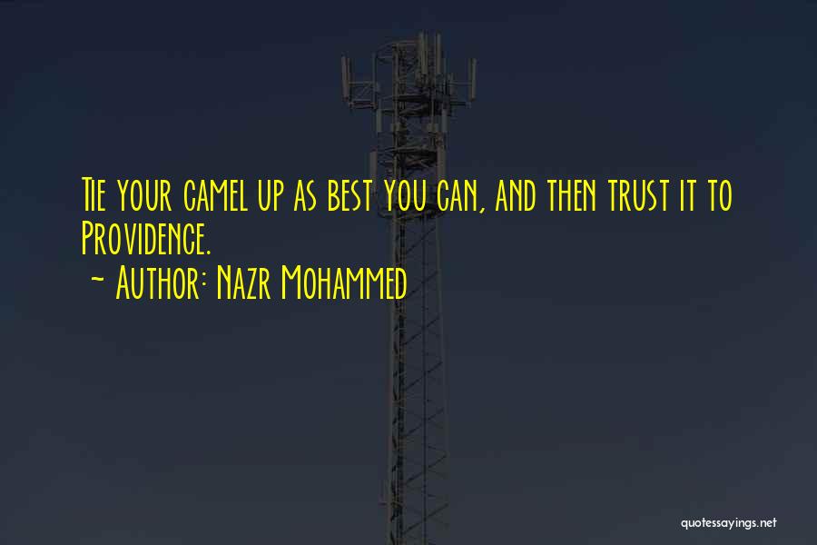 Nazr Mohammed Quotes: Tie Your Camel Up As Best You Can, And Then Trust It To Providence.