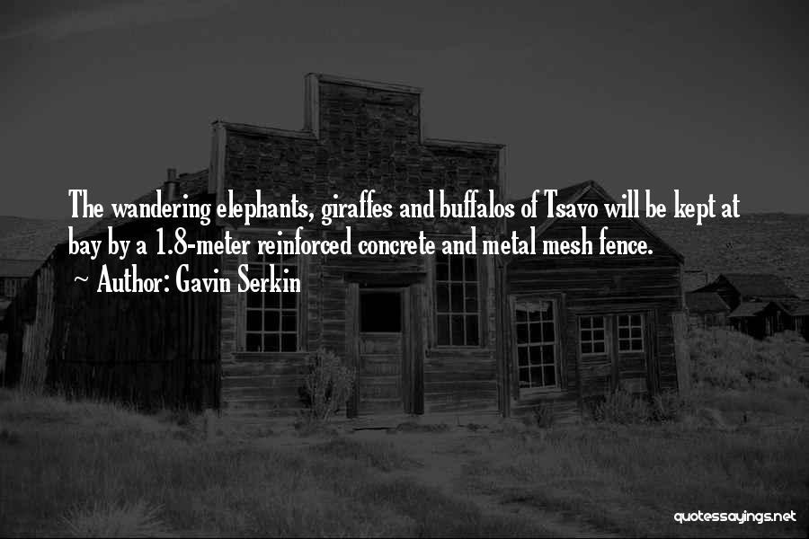 Gavin Serkin Quotes: The Wandering Elephants, Giraffes And Buffalos Of Tsavo Will Be Kept At Bay By A 1.8-meter Reinforced Concrete And Metal