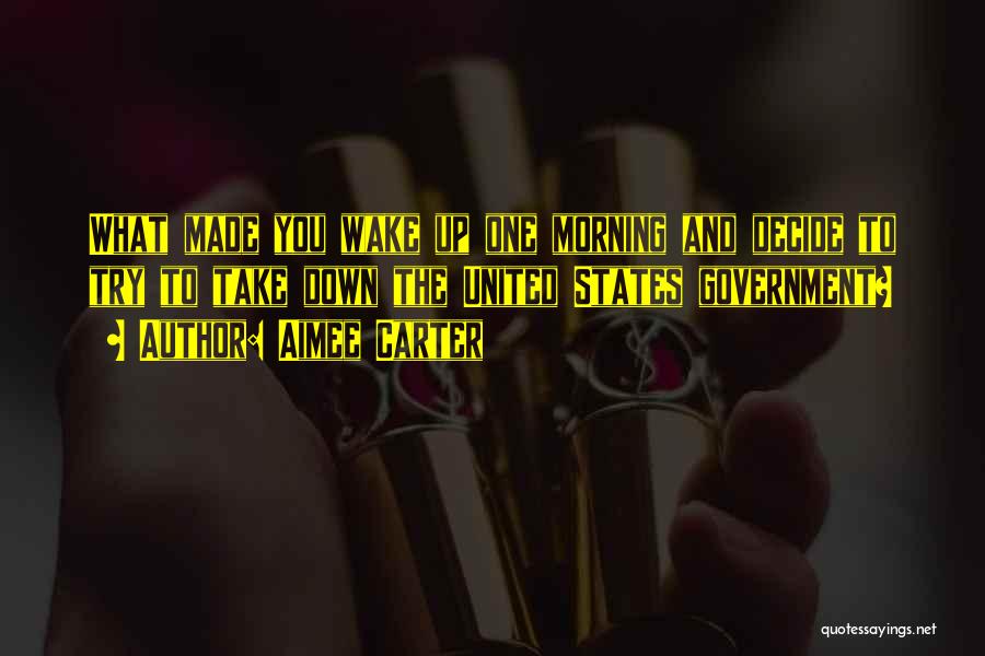 Aimee Carter Quotes: What Made You Wake Up One Morning And Decide To Try To Take Down The United States Government?
