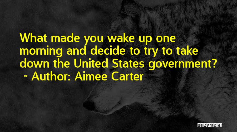 Aimee Carter Quotes: What Made You Wake Up One Morning And Decide To Try To Take Down The United States Government?